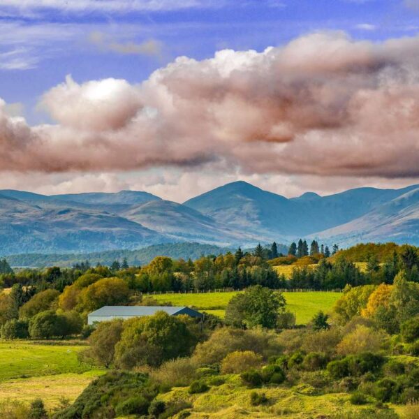 Luss Hills from Drymen