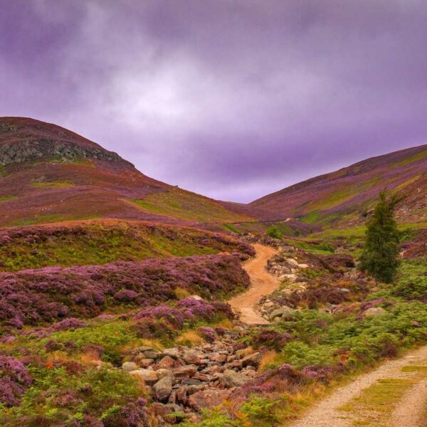 Mount Keen - Cairngorms