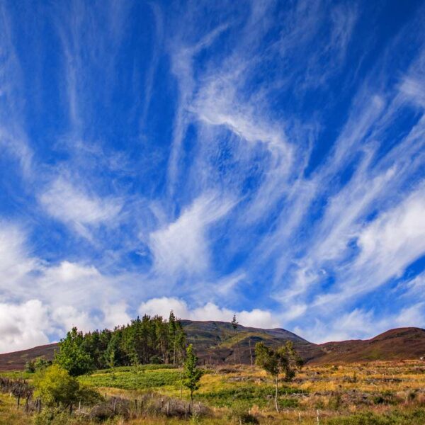 Schiehallion scenery