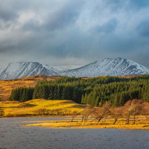 Black Mount scenery