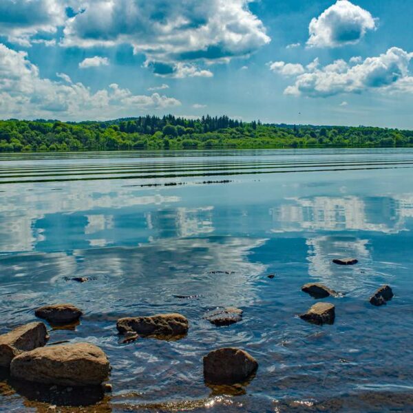 Castle Semple Loch