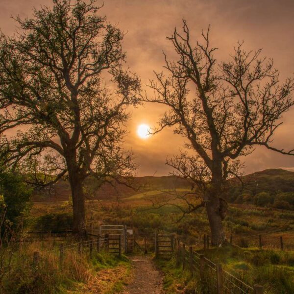 West Highland Way Sunset Trees