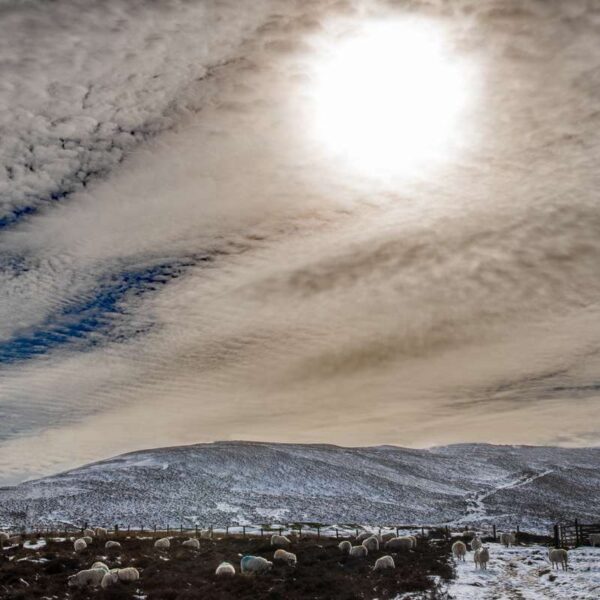 Tinto Hill scenery