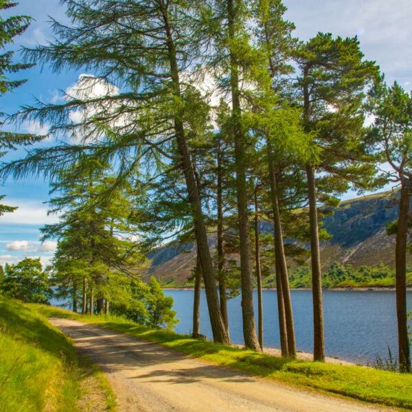 Ben Alder Estate - Loch Ericht