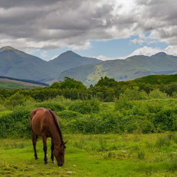 Crianlarich Hills mountain range