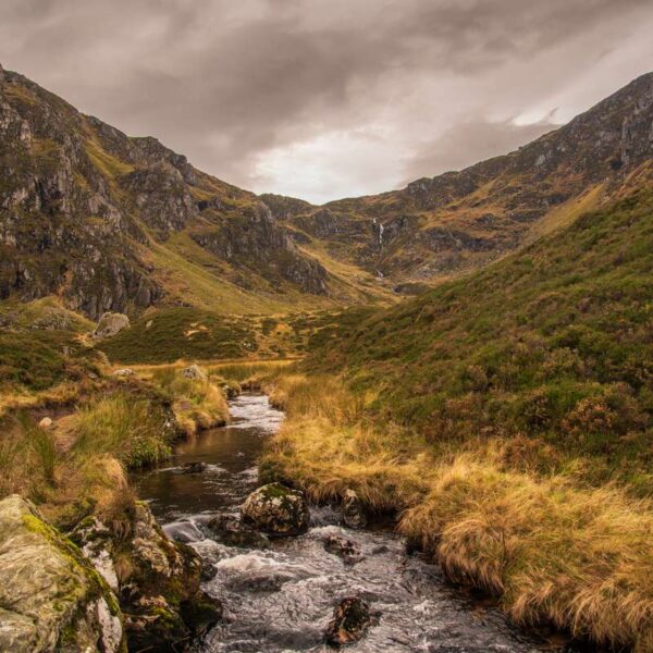 Corrie Fee - Mayar and Driesh