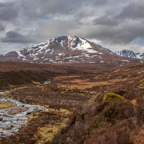 Munro top of Mam Sodhail