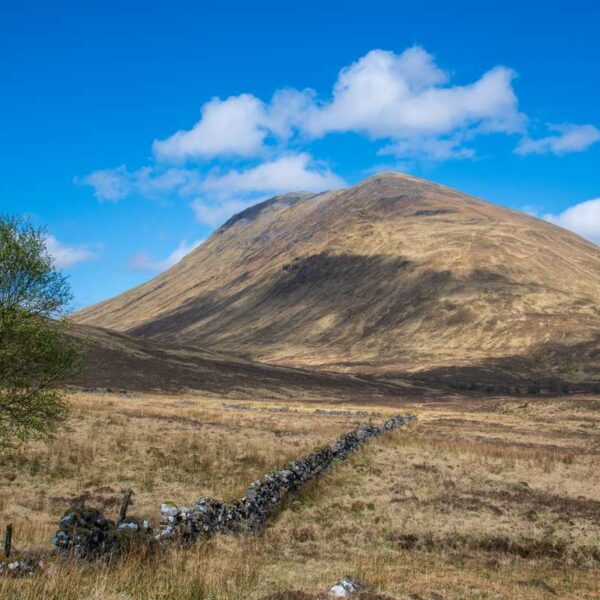 Gulvain - Gaor Bheinn