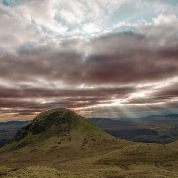 Sunlight on Dumgoyne Hill