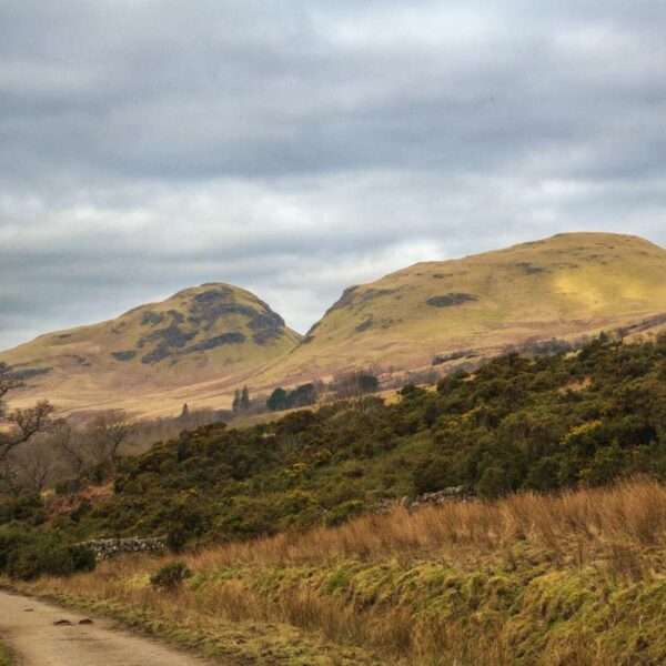 Dumgoyne and Dumfoyne