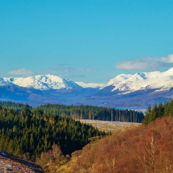 Distant views of the Southern Highlands