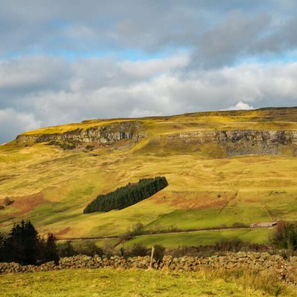 Fintry Hills happy face