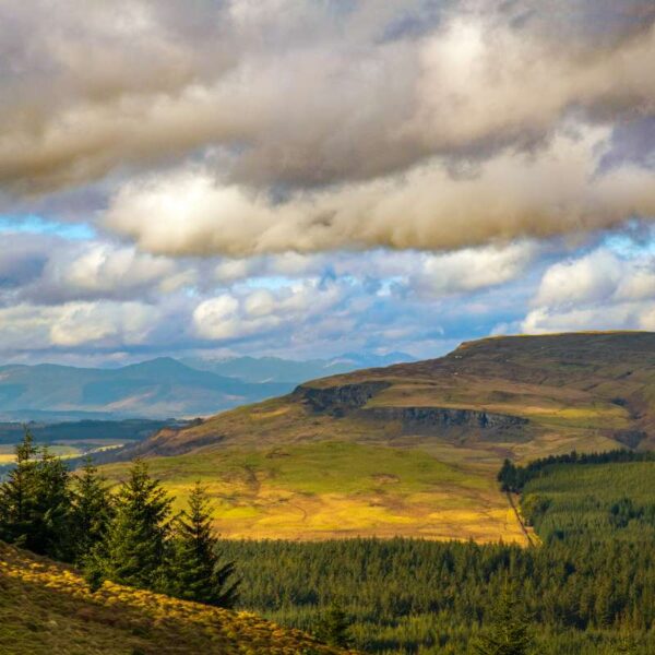 Meikle Bin - Carron Valley