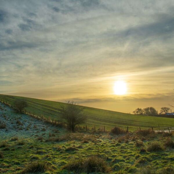 Allander Water Sunset