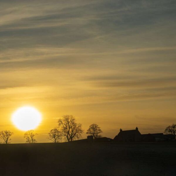 Allander Water Sunset Silhouette