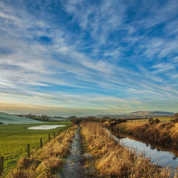 Allander Water - Milngavie